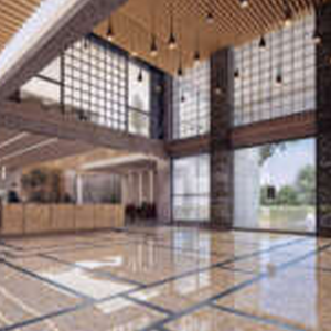 oyster court9